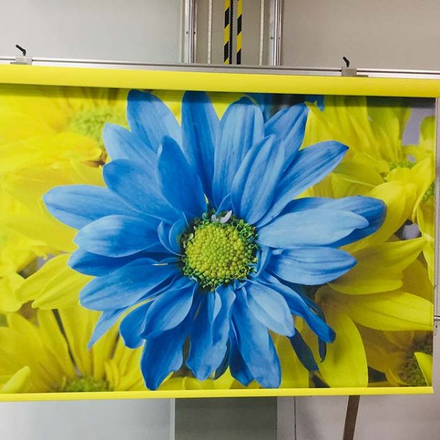 Printed Roller Blinds