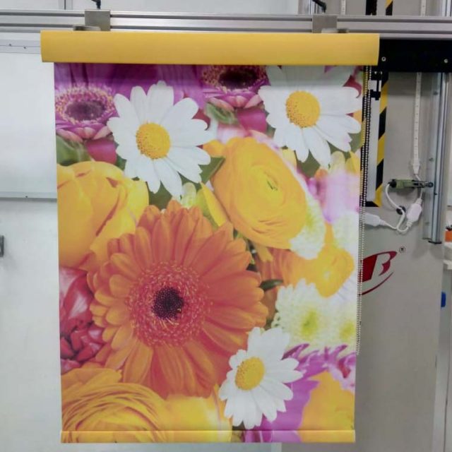 Printed Roller Blinds